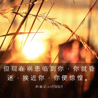 Picture 03 - 约 伯 记 4:5 CUVS - 但 现 在 祸 患 临 到 你 ， 你 就 昏 - Bible Verse Picture