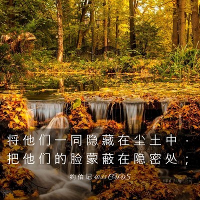 Picture 03 - 约 伯 记 40:13 CUVS - 将 他 们 一 同 隐 藏 在 尘 土 中 ， - Bible Verse Picture