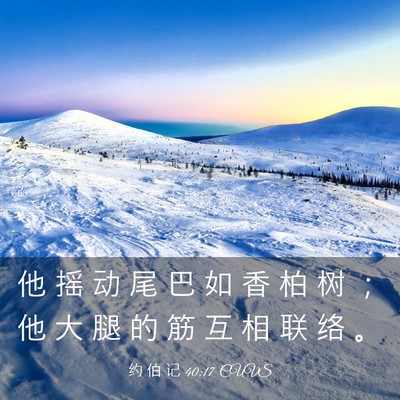 Picture 03 - 约 伯 记 40:17 CUVS - 他 摇 动 尾 巴 如 香 柏 树 ； 他 大 - Bible Verse Picture