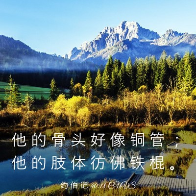 Picture 03 - 约 伯 记 40:18 CUVS - 他 的 骨 头 好 像 铜 管 ； 他 的 肢 - Bible Verse Picture