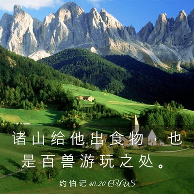 Picture 03 - 约 伯 记 40:20 CUVS - 诸 山 给 他 出 食 物 ， 也 是 百 兽 - Bible Verse Picture