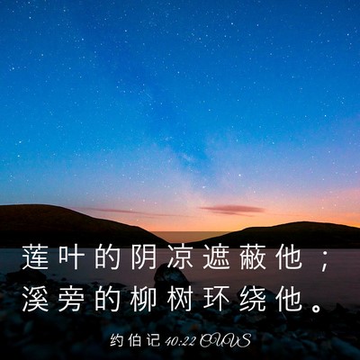 Picture 03 - 约 伯 记 40:22 CUVS - 莲 叶 的 阴 凉 遮 蔽 他 ； 溪 旁 的 - Bible Verse Picture