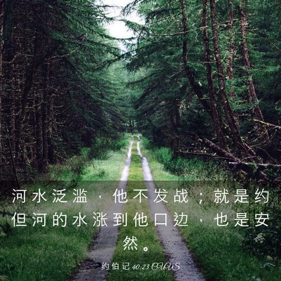 Picture 03 - 约 伯 记 40:23 CUVS - 河 水 泛 滥 ， 他 不 发 战 ； 就 是 - Bible Verse Picture