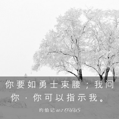 Picture 03 - 约 伯 记 40:7 CUVS - 你 要 如 勇 士 束 腰 ； 我 问 你 ， - Bible Verse Picture