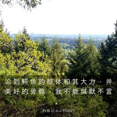 Picture 03 - 约 伯 记 41:12 CUVS - 论 到 鳄 鱼 的 肢 体 和 其 大 力 ， - Bible Verse Picture