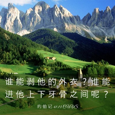Picture 03 - 约 伯 记 41:13 CUVS - 谁 能 剥 他 的 外 衣 ？ 谁 能 进 他 - Bible Verse Picture