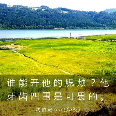 Picture 03 - 约 伯 记 41:14 CUVS - 谁 能 开 他 的 腮 颊 ？ 他 牙 齿 四 - Bible Verse Picture