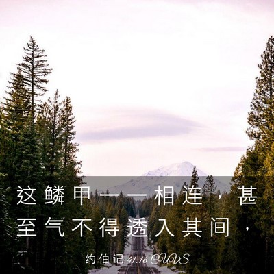 Picture 03 - 约 伯 记 41:16 CUVS - 这 鳞 甲 一 一 相 连 ， 甚 至 气 不 - Bible Verse Picture