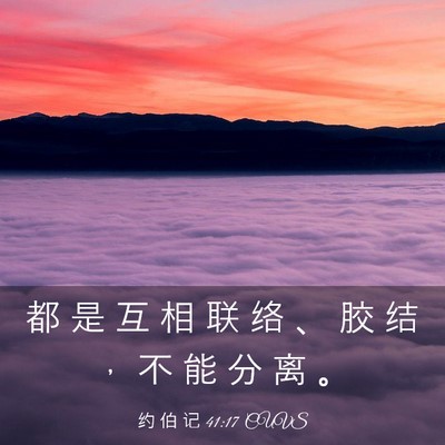 Picture 03 - 约 伯 记 41:17 CUVS - 都 是 互 相 联 络 、 胶 结 ， 不 能 - Bible Verse Picture
