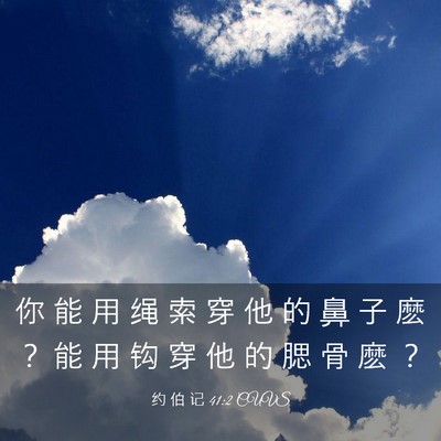 Picture 03 - 约 伯 记 41:2 CUVS - 你 能 用 绳 索 穿 他 的 鼻 子 麽 ？ - Bible Verse Picture