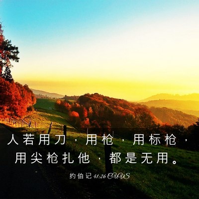 Picture 03 - 约 伯 记 41:26 CUVS - 人 若 用 刀 ， 用 枪 ， 用 标 枪 ， - Bible Verse Picture