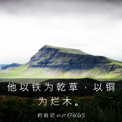 Picture 03 - 约 伯 记 41:27 CUVS - 他 以 铁 为 乾 草 ， 以 铜 为 烂 木 - Bible Verse Picture