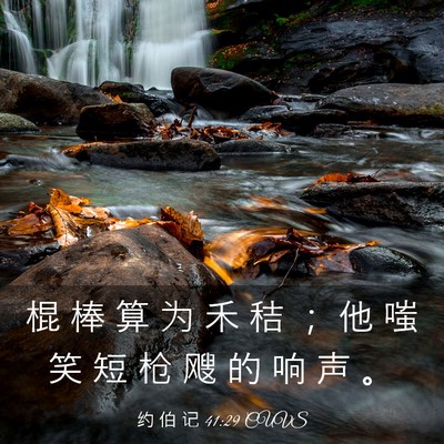 Picture 03 - 约 伯 记 41:29 CUVS - 棍 棒 算 为 禾 秸 ； 他 嗤 笑 短 枪 - Bible Verse Picture