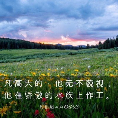 Picture 03 - 约 伯 记 41:34 CUVS - 凡 高 大 的 ， 他 无 不 藐 视 ； 他 - Bible Verse Picture
