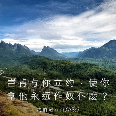 Picture 03 - 约 伯 记 41:4 CUVS - 岂 肯 与 你 立 约 ， 使 你 拿 他 永 - Bible Verse Picture