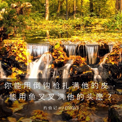 Picture 03 - 约 伯 记 41:7 CUVS - 你 能 用 倒 钩 枪 扎 满 他 的 皮 ， - Bible Verse Picture