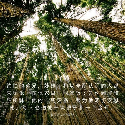 Picture 03 - 约 伯 记 42:11 CUVS - 约 伯 的 弟 兄 、 姊 妹 ， 和 以 先 - Bible Verse Picture