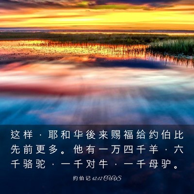 Picture 03 - 约 伯 记 42:12 CUVS - 这 样 ， 耶 和 华 後 来 赐 福 给 约 - Bible Verse Picture