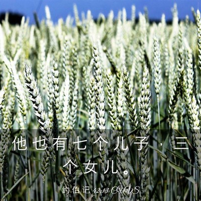 Picture 03 - 约 伯 记 42:13 CUVS - 他 也 有 七 个 儿 子 ， 三 个 女 儿 - Bible Verse Picture
