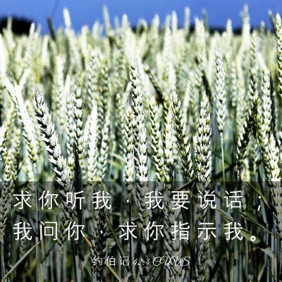 Picture 03 - 约 伯 记 42:4 CUVS - 求 你 听 我 ， 我 要 说 话 ； 我 问 - Bible Verse Picture