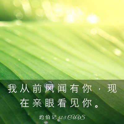 Picture 03 - 约 伯 记 42:5 CUVS - 我 从 前 风 闻 有 你 ， 现 在 亲 眼 - Bible Verse Picture