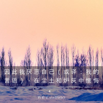 Picture 03 - 约 伯 记 42:6 CUVS - 因 此 我 厌 恶 自 己 （ 或 译 ： 我 - Bible Verse Picture