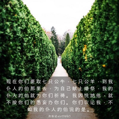 Picture 03 - 约 伯 记 42:8 CUVS - 现 在 你 们 要 取 七 只 公 牛 ， 七 - Bible Verse Picture