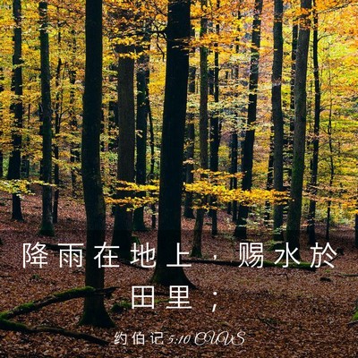 Picture 03 - 约 伯 记 5:10 CUVS - 降 雨 在 地 上 ， 赐 水 於 田 里 - Bible Verse Picture