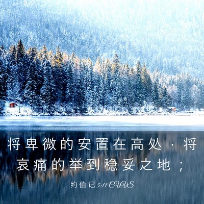 Picture 03 - 约 伯 记 5:11 CUVS - 将 卑 微 的 安 置 在 高 处 ， 将 哀 - Bible Verse Picture
