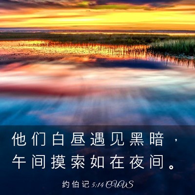 Picture 03 - 约 伯 记 5:14 CUVS - 他 们 白 昼 遇 见 黑 暗 ， 午 间 摸 - Bible Verse Picture