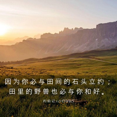 Picture 03 - 约 伯 记 5:23 CUVS - 因 为 你 必 与 田 间 的 石 头 立 约 - Bible Verse Picture
