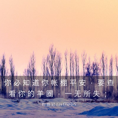 Picture 03 - 约 伯 记 5:24 CUVS - 你 必 知 道 你 帐 棚 平 安 ， 要 查 - Bible Verse Picture