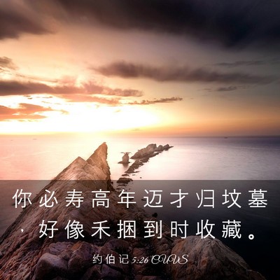 Picture 03 - 约 伯 记 5:26 CUVS - 你 必 寿 高 年 迈 才 归 坟 墓 ， 好 - Bible Verse Picture