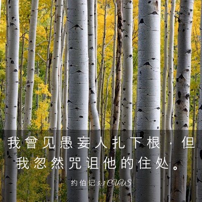 Picture 03 - 约 伯 记 5:3 CUVS - 我 曾 见 愚 妄 人 扎 下 根 ， 但 我 - Bible Verse Picture