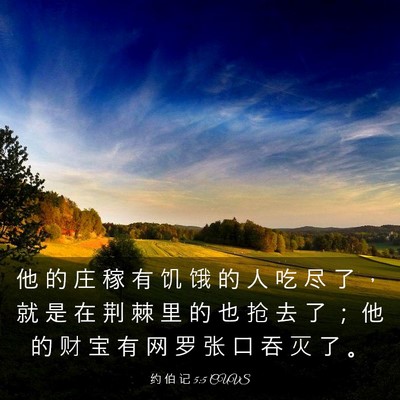 Picture 03 - 约 伯 记 5:5 CUVS - 他 的 庄 稼 有 饥 饿 的 人 吃 尽 了 - Bible Verse Picture