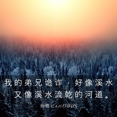 Picture 03 - 约 伯 记 6:15 CUVS - 我 的 弟 兄 诡 诈 ， 好 像 溪 水 ， - Bible Verse Picture