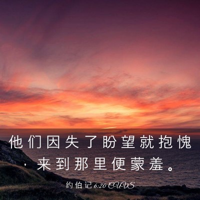 Picture 03 - 约 伯 记 6:20 CUVS - 他 们 因 失 了 盼 望 就 抱 愧 ， 来 - Bible Verse Picture