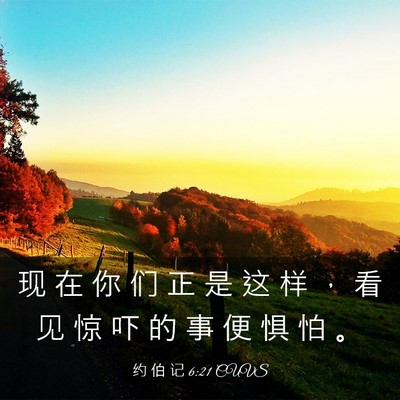 Picture 03 - 约 伯 记 6:21 CUVS - 现 在 你 们 正 是 这 样 ， 看 见 惊 - Bible Verse Picture