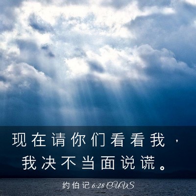 Picture 03 - 约 伯 记 6:28 CUVS - 现 在 请 你 们 看 看 我 ， 我 决 不 - Bible Verse Picture
