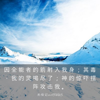 Picture 03 - 约 伯 记 6:4 CUVS - 因 全 能 者 的 箭 射 入 我 身 ； 其 - Bible Verse Picture