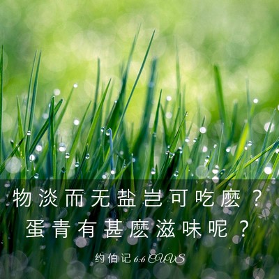 Picture 03 - 约 伯 记 6:6 CUVS - 物 淡 而 无 盐 岂 可 吃 麽 ？ 蛋 青 - Bible Verse Picture