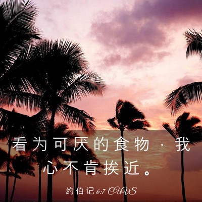 Picture 03 - 约 伯 记 6:7 CUVS - 看 为 可 厌 的 食 物 ， 我 心 不 肯 - Bible Verse Picture