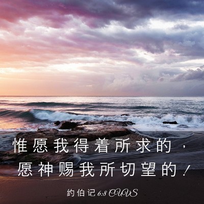 Picture 03 - 约 伯 记 6:8 CUVS - 惟 愿 我 得 着 所 求 的 ， 愿 神 赐 - Bible Verse Picture