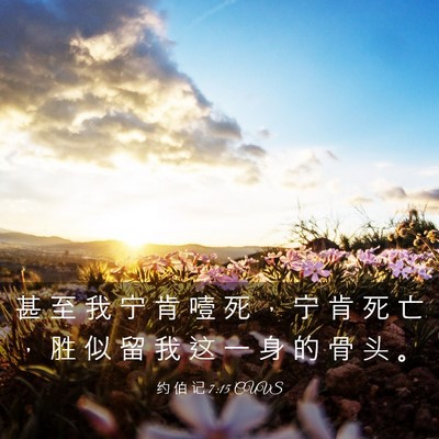 Picture 03 - 约 伯 记 7:15 CUVS - 甚 至 我 宁 肯 噎 死 ， 宁 肯 死 亡 - Bible Verse Picture