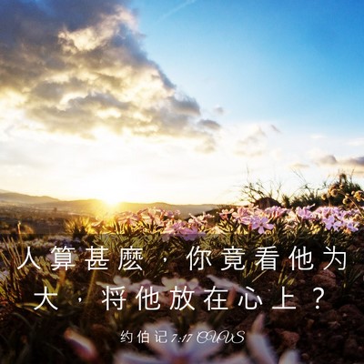 Picture 03 - 约 伯 记 7:17 CUVS - 人 算 甚 麽 ， 你 竟 看 他 为 大 ， - Bible Verse Picture