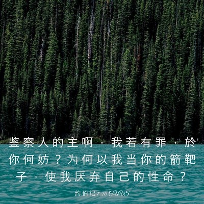 Picture 03 - 约 伯 记 7:20 CUVS - 鉴 察 人 的 主 啊 ， 我 若 有 罪 ， - Bible Verse Picture