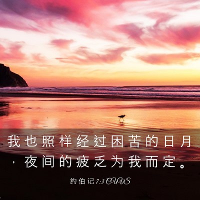 Picture 03 - 约 伯 记 7:3 CUVS - 我 也 照 样 经 过 困 苦 的 日 月 ， - Bible Verse Picture