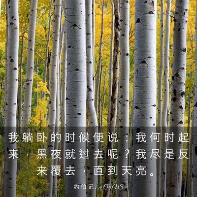Picture 03 - 约 伯 记 7:4 CUVS - 我 躺 卧 的 时 候 便 说 ： 我 何 时 - Bible Verse Picture