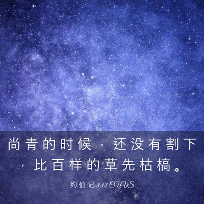 Picture 03 - 约 伯 记 8:12 CUVS - 尚 青 的 时 候 ， 还 没 有 割 下 ， - Bible Verse Picture