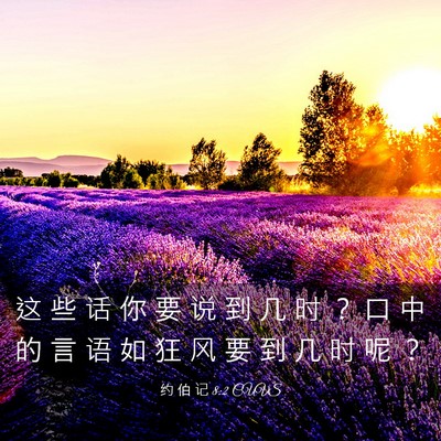 Picture 03 - 约 伯 记 8:2 CUVS - 这 些 话 你 要 说 到 几 时 ？ 口 中 - Bible Verse Picture